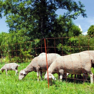 Síť pro elektrické ohradníky na ovce OVINET v. 90 cm, d. 50 m, jednoduchá špičk