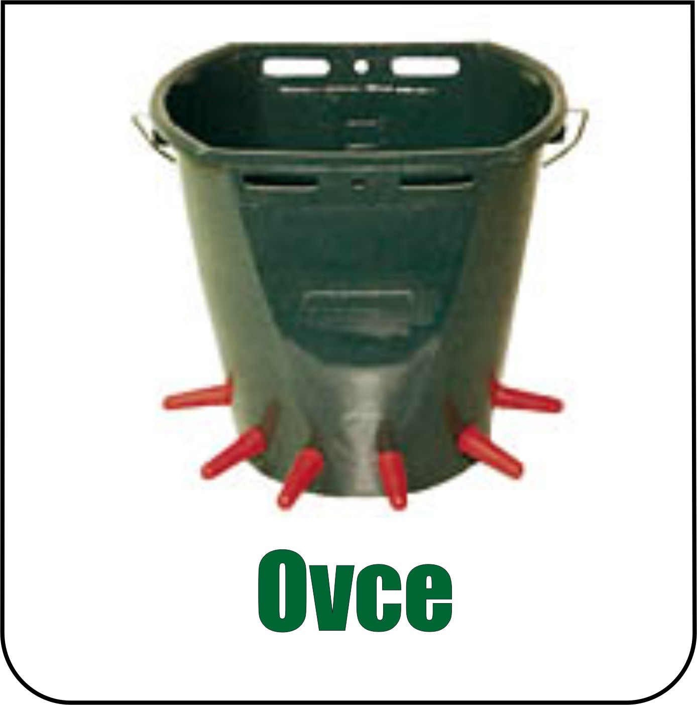 Potřeby pro ovce
